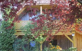 Ferienhaus Knopf -direkt am Küstenwald